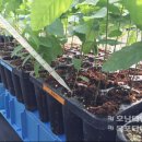 송로축산 이미지