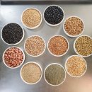 고소한 미숫가루&amp;귀리가루(시즌 종료 초특가 판매) 이미지