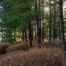 원일공원 이미지