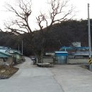 밤나무쉼터
