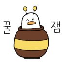 베이시스 옵(basis of) 이미지