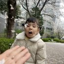 [주간 일기] 주간 일기라 쓰고 월간 일기라 읽는다. 15