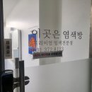 이곳은염색방 이미지