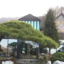 스완레스토랑 이미지