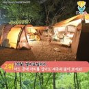 풀꽃이랑캠핑장 이미지