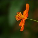 미실란밥 cafe 반하다 이미지