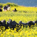 “1인당 3만원” 제주, 친구·동창 등 단체 여행객에 지역화폐 준다 이미지