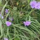 구평동-9 이미지