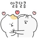 올래 Daum카페