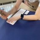 폴리나레더 이미지