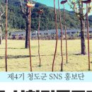 싱그러운청도로(여름) 네이버블로그