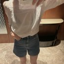 파이스턴 이미지