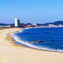 거진활어회센터 이미지