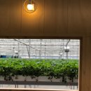 동읍351 | 주남농부더하기