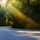 숲속풍경 이미지