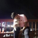 개밥그릇 이미지