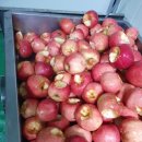 농업회사법인 영춘고을(주)