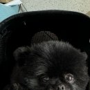 유산길50 이미지