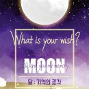 비밀의화원전주점 이미지