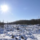 산천 Daum카페