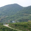 구자농장 티스토리