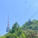 보스턴 | 아디다스 아디제로 보스턴13w 후기