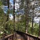 stay 산음 이미지