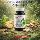 썬라이더IBO광주센터