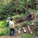 봉화읍사무소 이미지