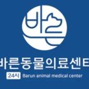 대구24시바른동물의료센터 이미지