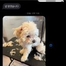 에바가위컷 전문점 이미지