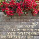 도반한방병원 이미지