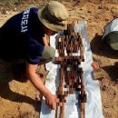 공설묘원 이미지