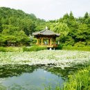 강산한우 이미지