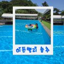 찬스아이 수영장 | 경기도 히든밸리 송추 예약 꿀팁! 평상 명당 위치와 취사가능 수영장 후기