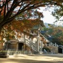 불국사 - 1655 | 불국사