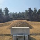 수성최씨 시조묘 | 수성 최씨 시조묘 최영규20260321