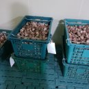 지선농장 이미지