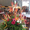 인니삼유기12-2020년 1월12일-디엥고원 가는 길 이미지