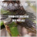 대명배수지