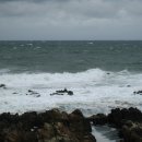 바다소식 이미지