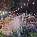 서양화(저녁) 이미지