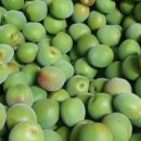 한울농장 이미지