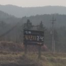 꿀단지