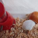 서울아쿠아룸 이미지