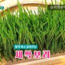 보리가득 이미지