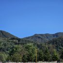 행복한 애견삽 이미지