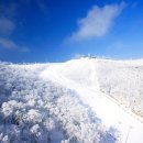 (12월 1월 2월) 하이원 오크밸리 웰리힐리파크 리조트 가실분!! 이미지