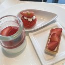 봄의 문턱, 싹이 튼다 | 3월 톺아보기 _ 열심히 일하고 당에 절여진 나날들