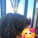 에바다보청기 이미지